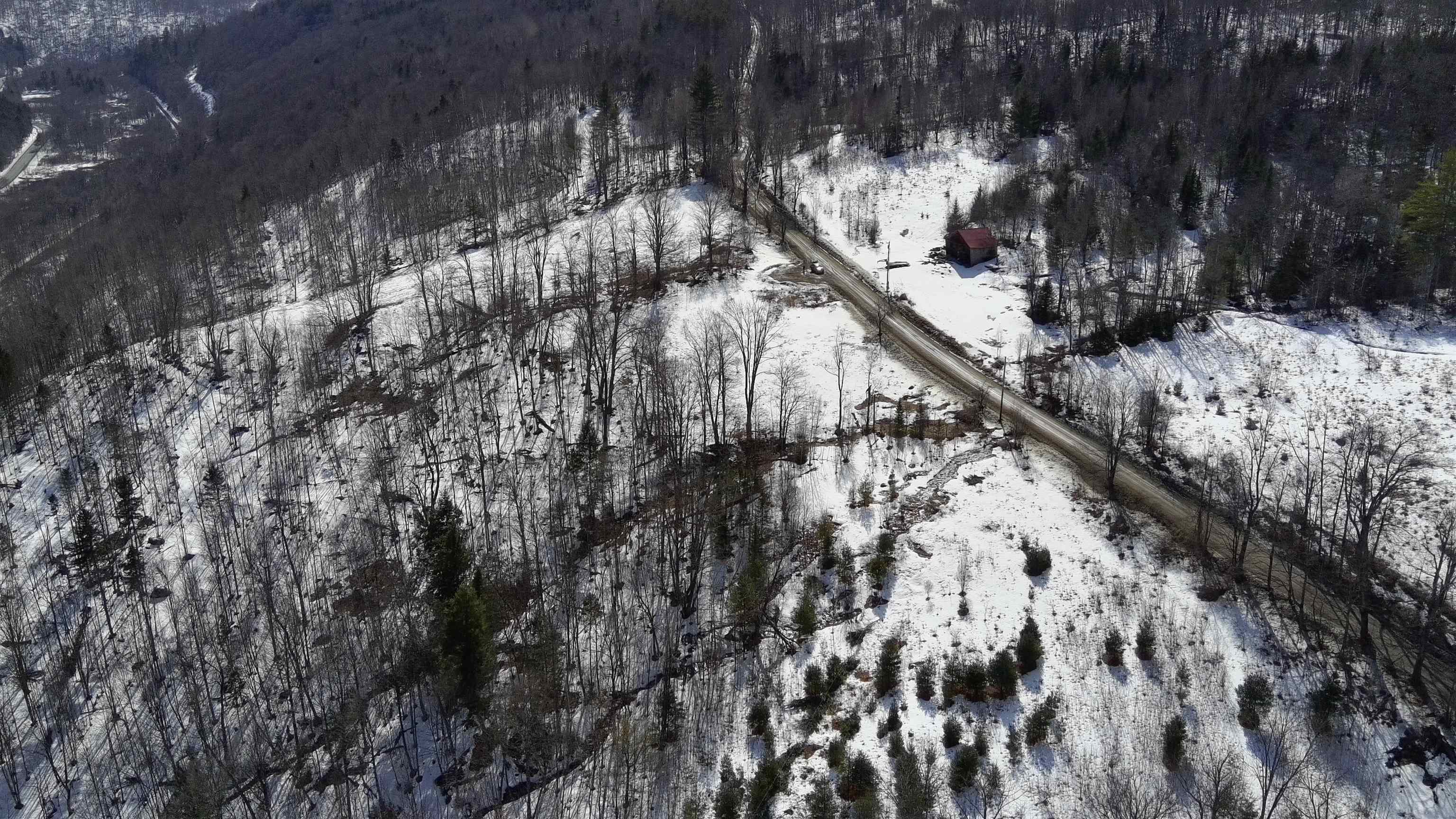 Homes for sale in Roxbury, VT | Tbd Thurston Hill Rd, Roxbury, VT 05669 | MLS# 5079257