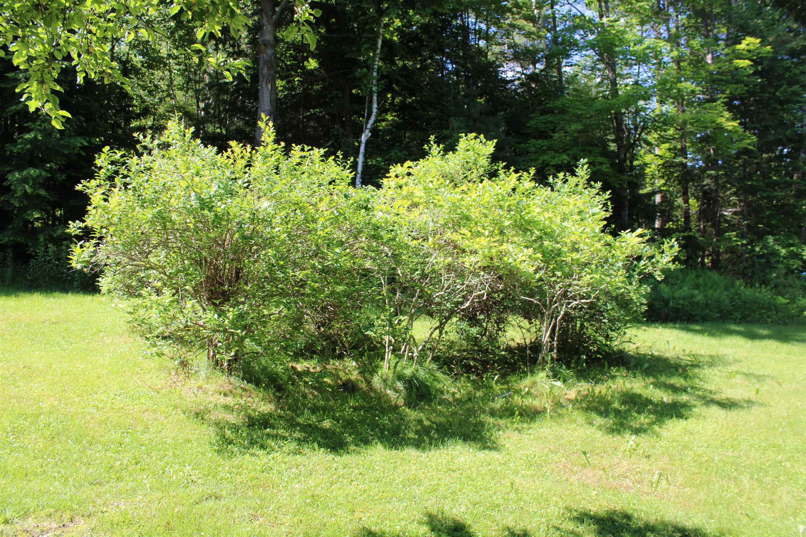 1579 Monroe Rd, Littleton, NH 03561
