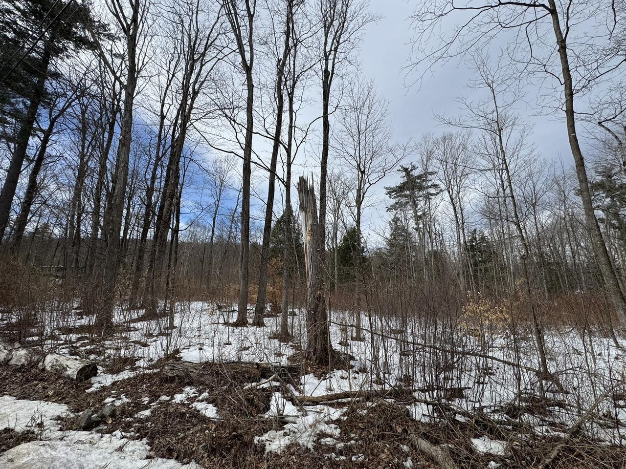 Homes for sale in Salisbury, VT | 17 Chamberlain Dr, Salisbury, VT 05769 | MLS# 5079270