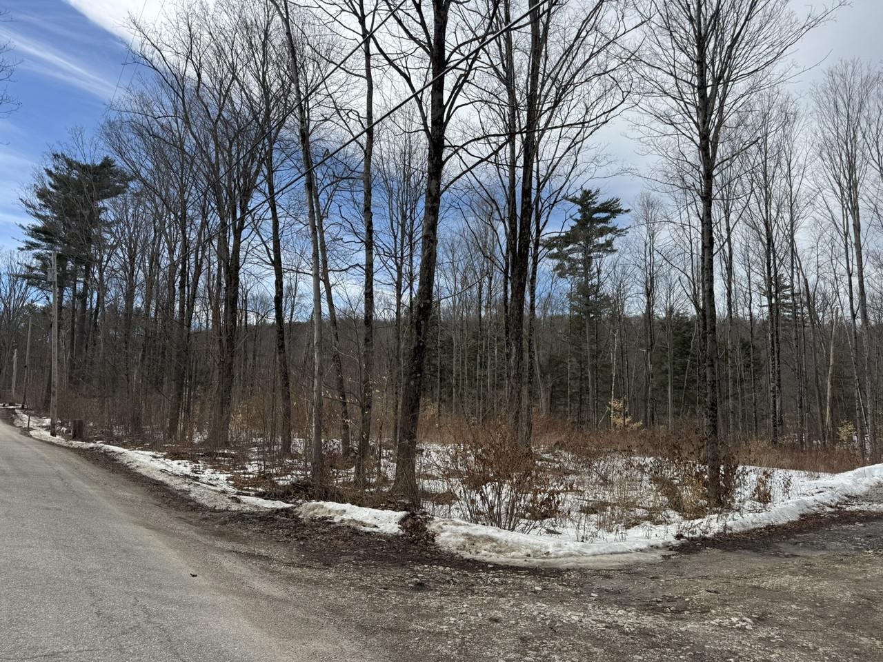 Homes for sale in Salisbury, VT | 17 Chamberlain Dr, Salisbury, VT 05769 | MLS# 5079270