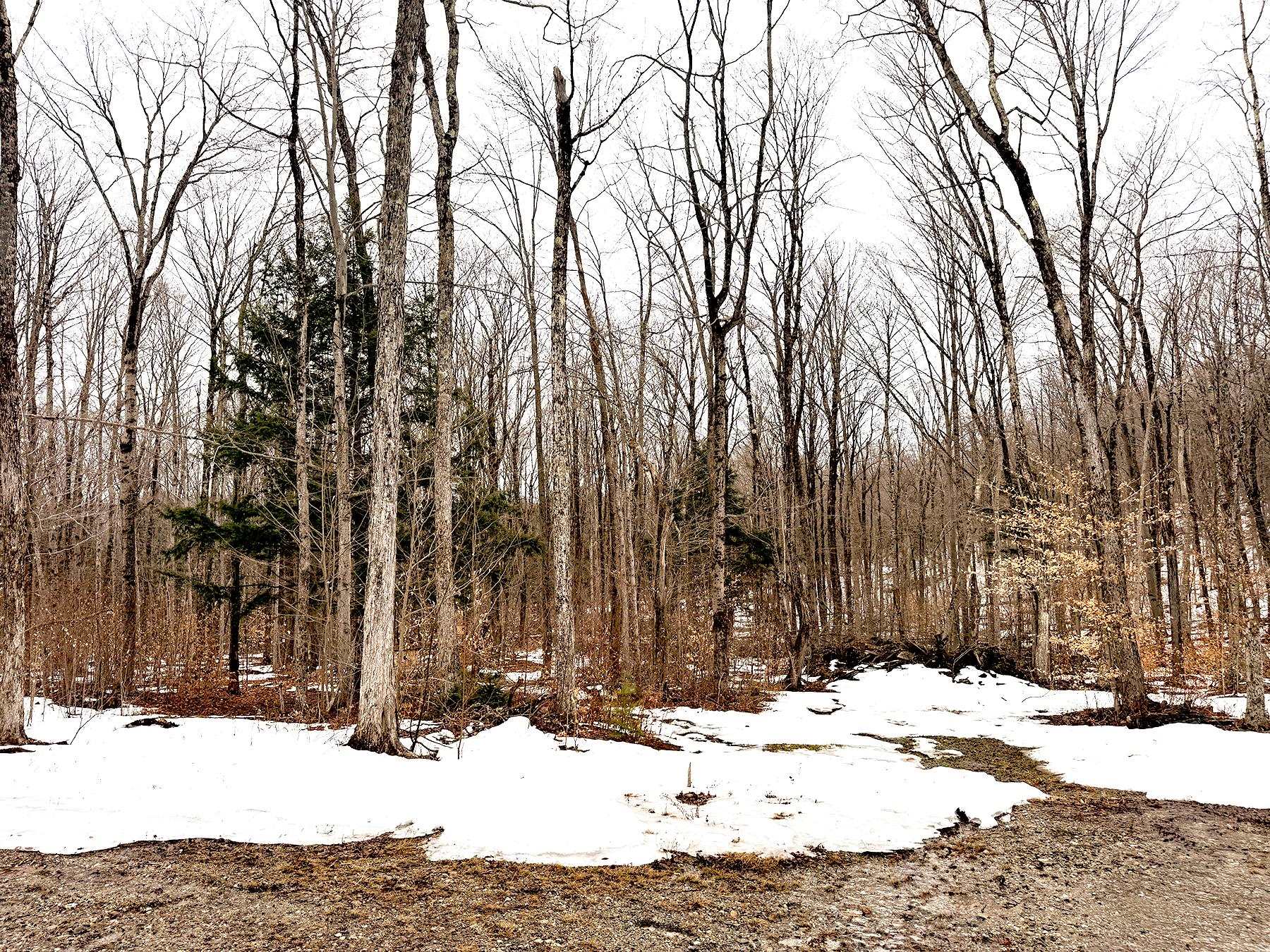 TM 202 L 7 Stark Rd, Lempster, NH 03605