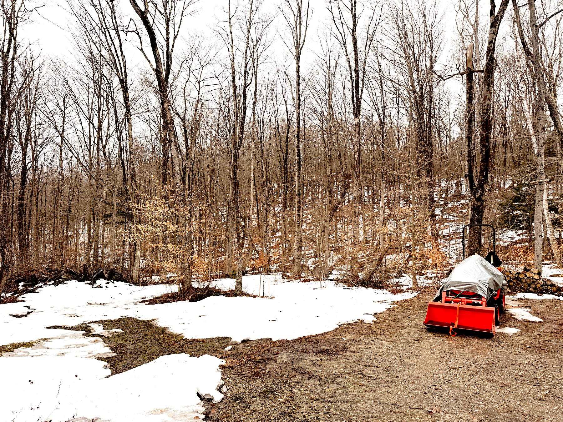 Homes for sale in Lempster, NH | Tm 202 L 7 Stark Rd, Lempster, NH 03605 | MLS# 5079281