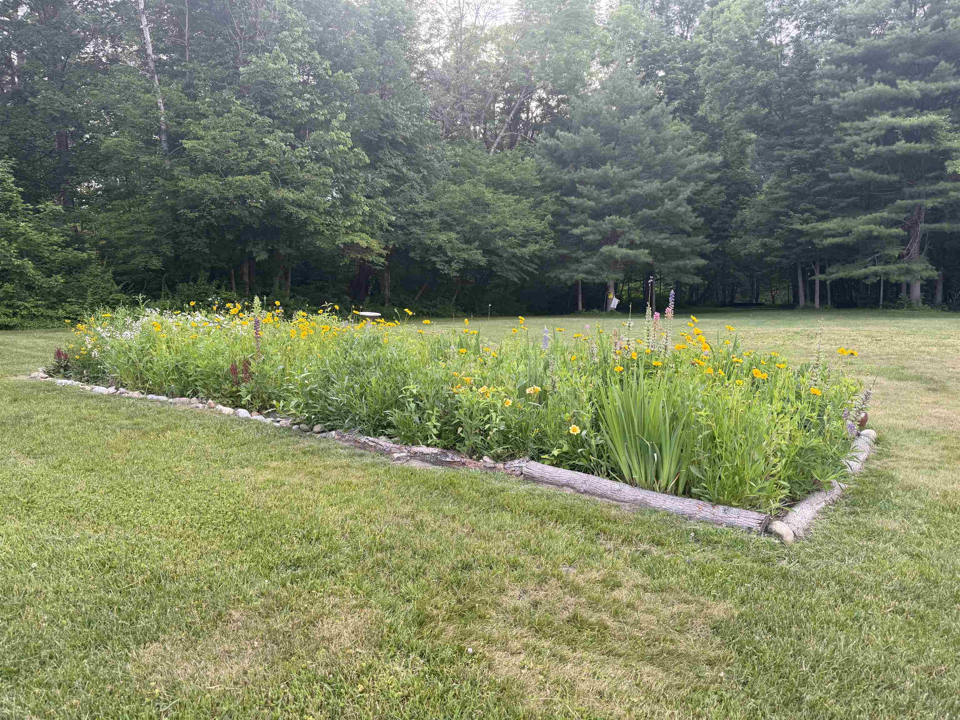 Property photo 53