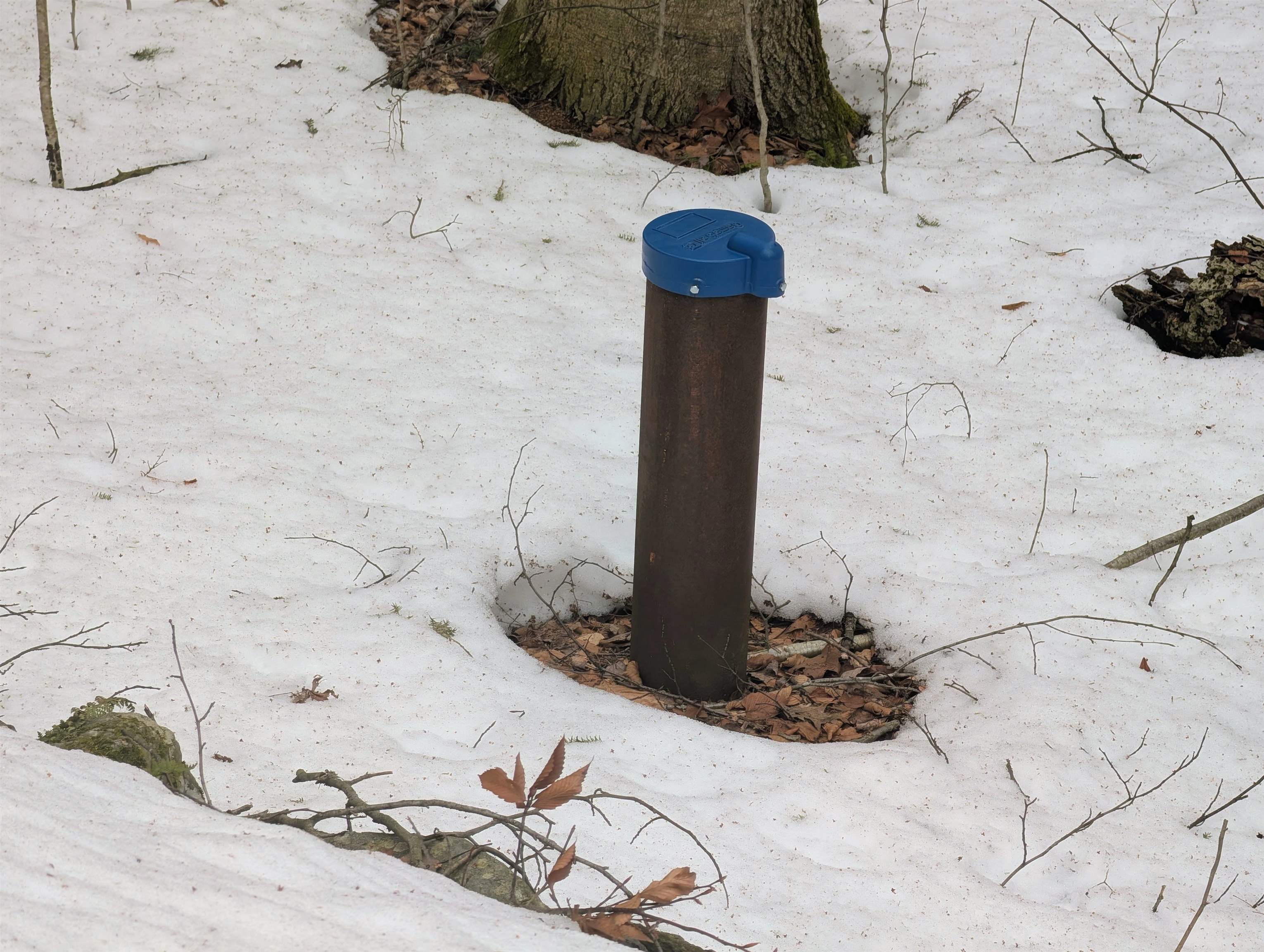 16 King Arthur Dr, Farmington, NH 03835