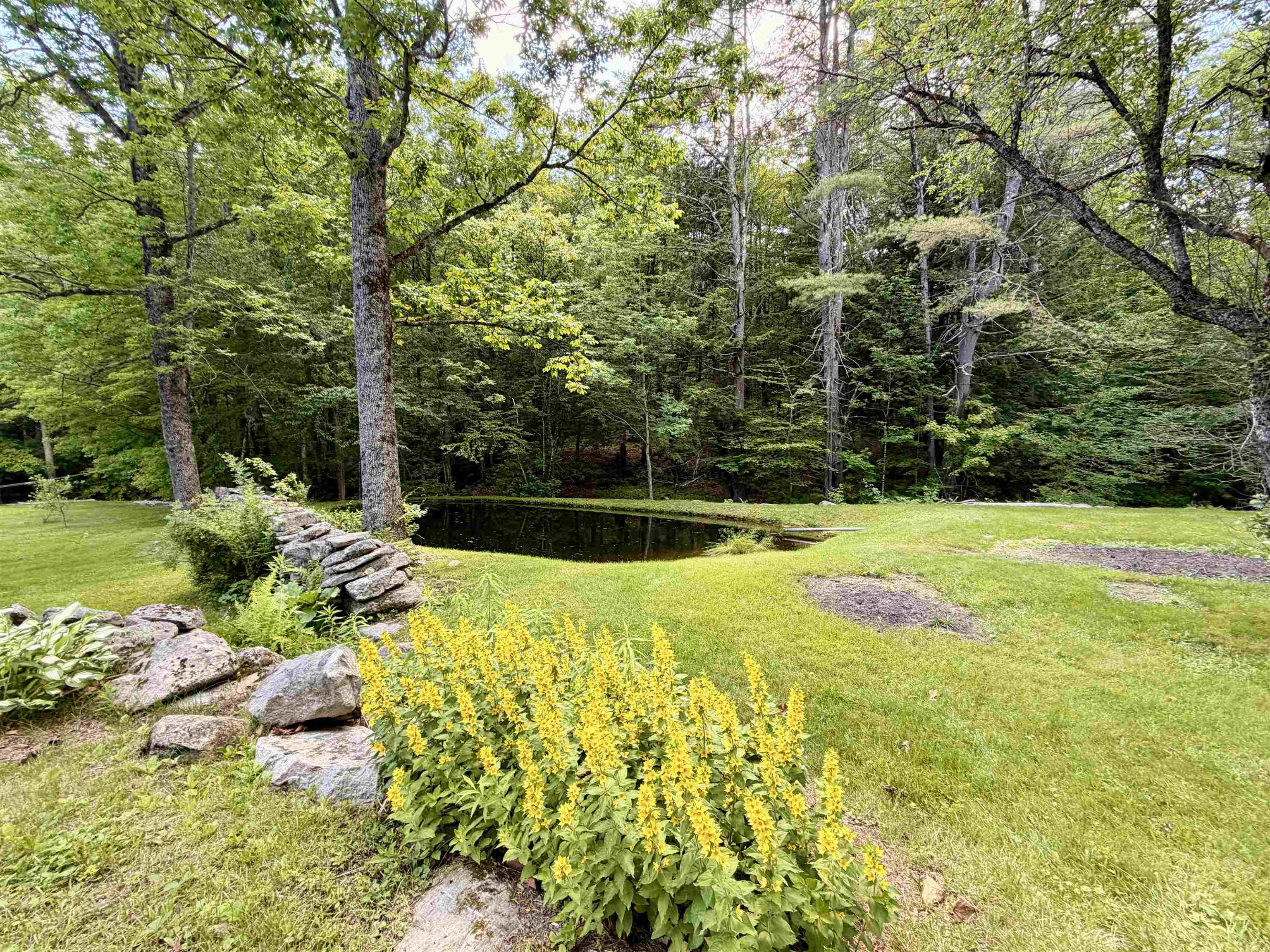 Property photo 54