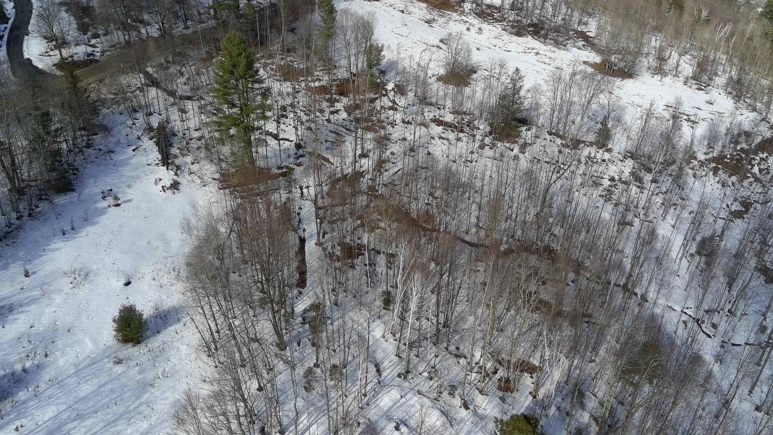 Homes for sale in Roxbury, VT | Lot 3 Thurston Hill Rd, Roxbury, VT 05669 | MLS# 5079350