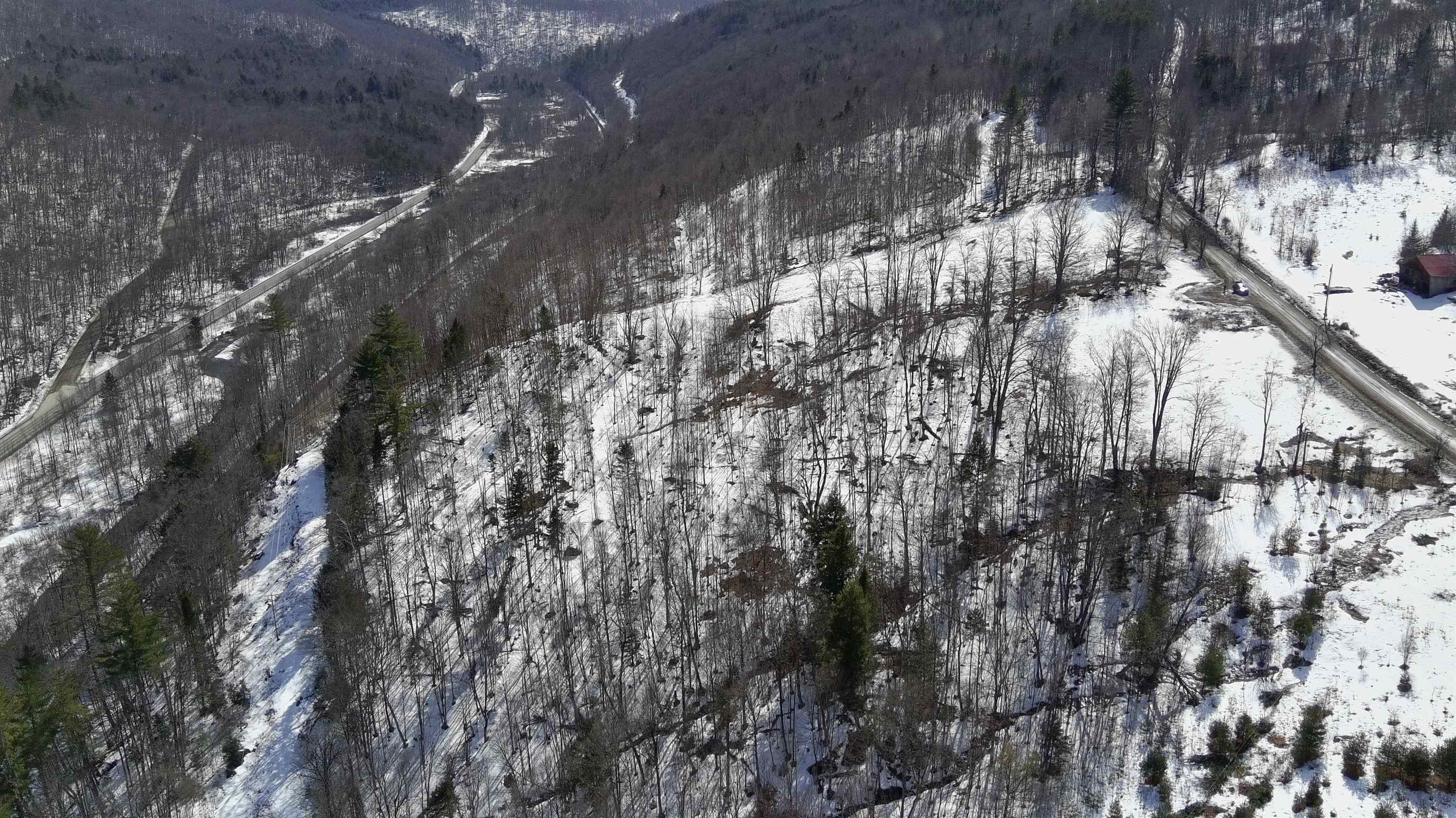 Homes for sale in Roxbury, VT | Lot 3 Thurston Hill Rd, Roxbury, VT 05669 | MLS# 5079350