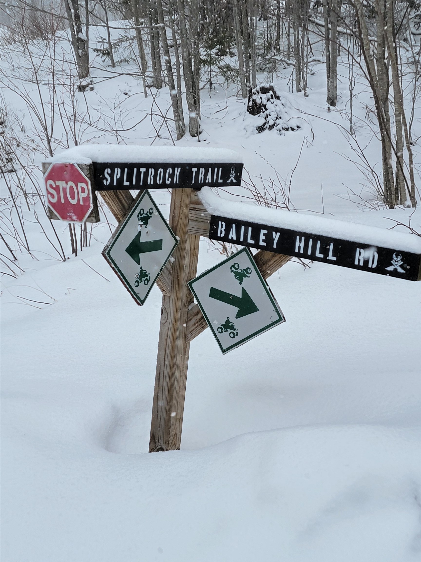 Homes for sale in Readsboro, VT | 845 Bailey Hill Rd, Readsboro, VT 05350 | MLS# 5079383