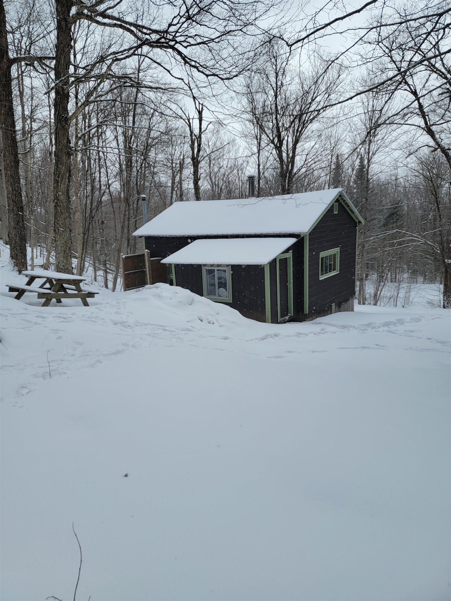 Property photo 46