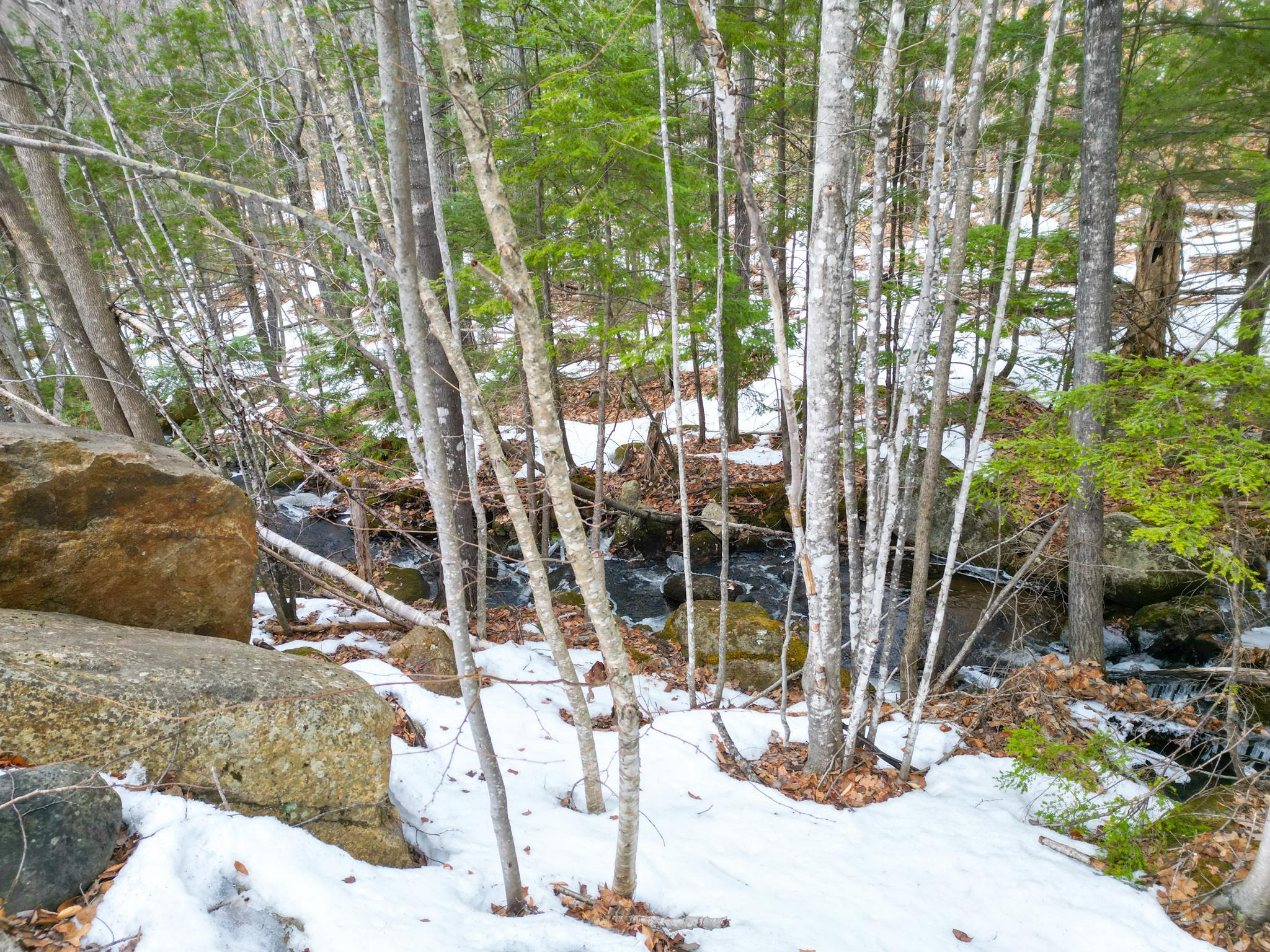 F21 Christmas Mountain Rd, Bartlett, NH 03812