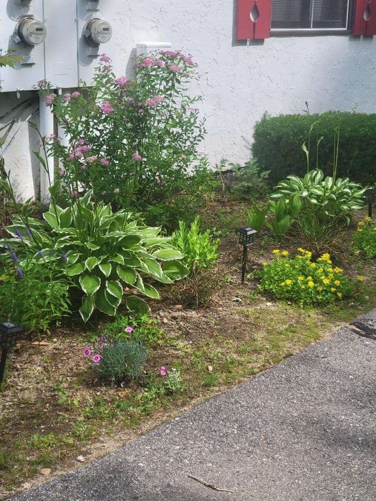 Homes for sale in Bartlett, NH | F21 Christmas Mountain Rd #F21, Bartlett, NH 03812 | MLS# 5079421