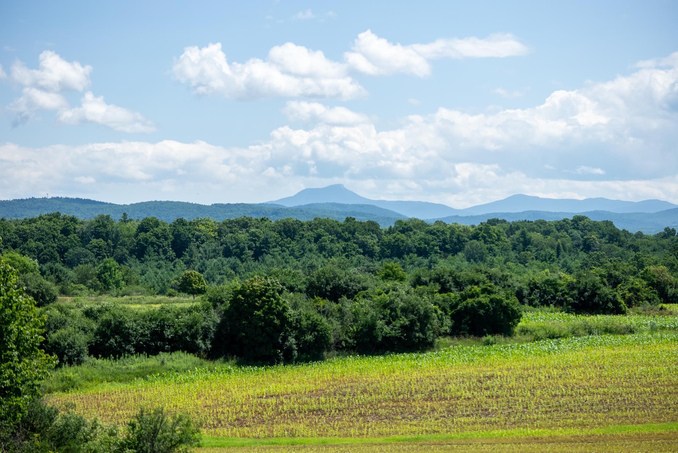 Homes for sale in Shelburne, VT | 6 Luke Ln, Shelburne, VT 05482 | MLS# 5079466