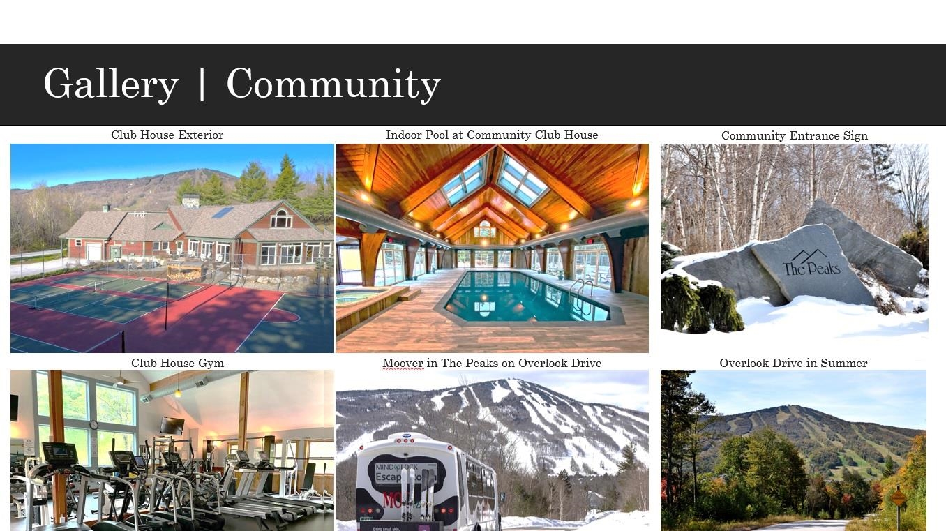 10 Overlook Dr, Dover, VT 05356