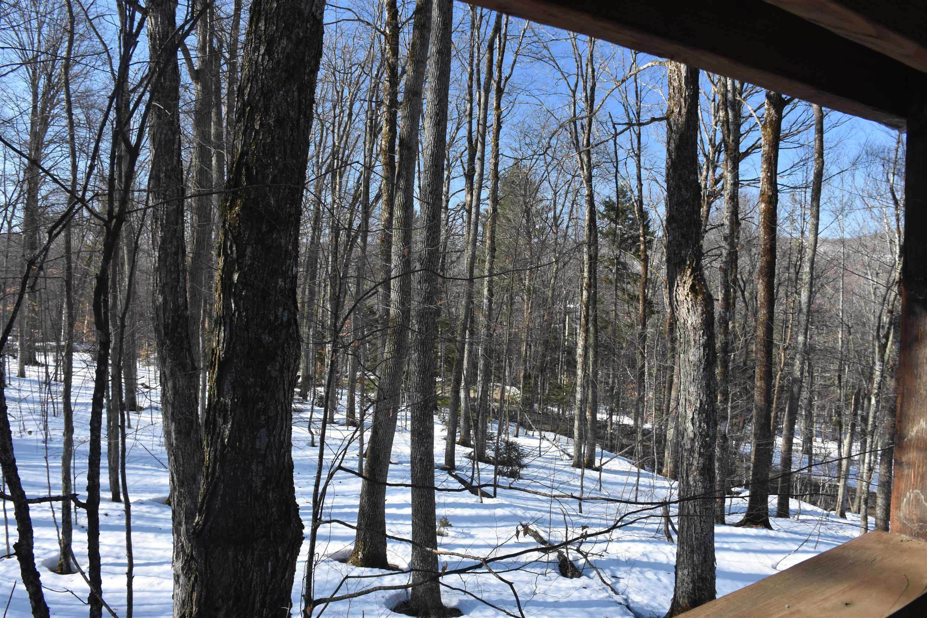 Homes for sale in Roxbury, VT | 397 Winch Hill Ext, Roxbury, VT 05663 | MLS# 5079568