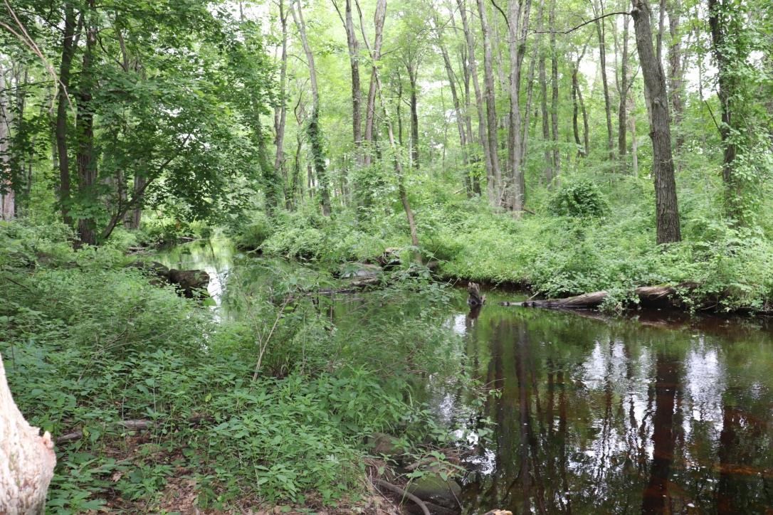 38 Oak St, Milford, NH 03055