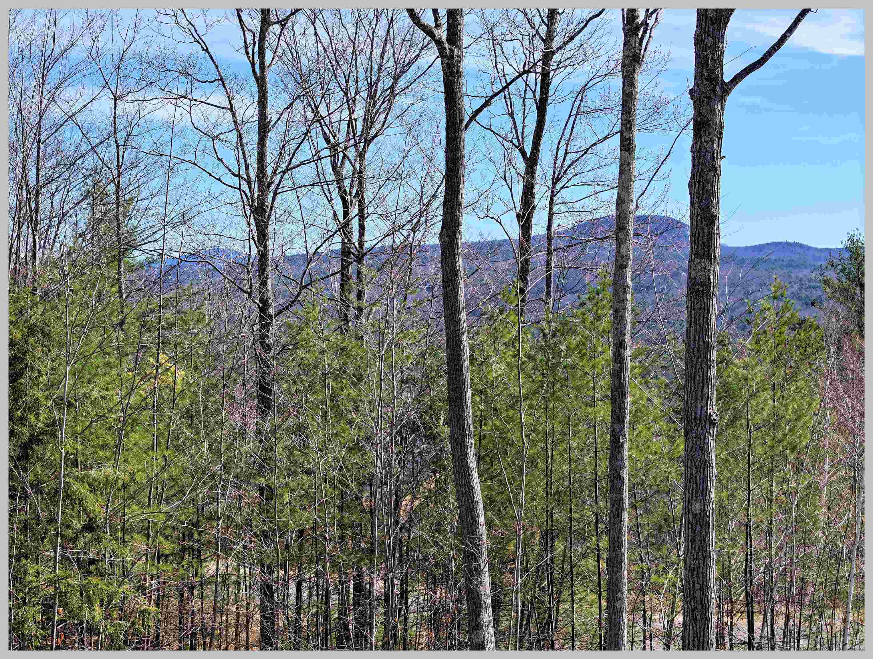 Photo 3 of Land for sale at Lot 22 Ski Lift Ln, Plymouth, NH 03264 | MLS# 5079580 | Listing updated on 2026-10-05
