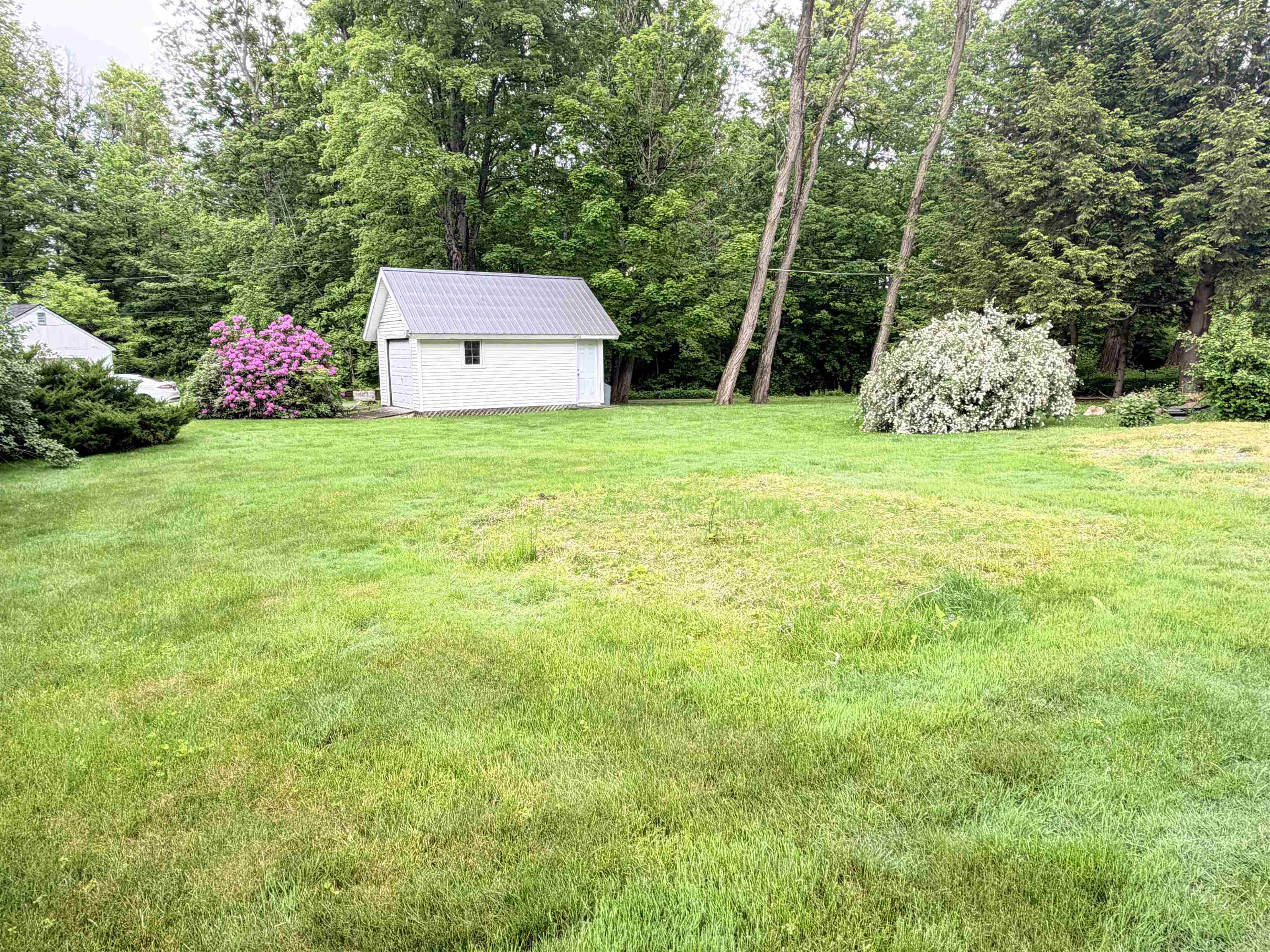 Backyard 25414290