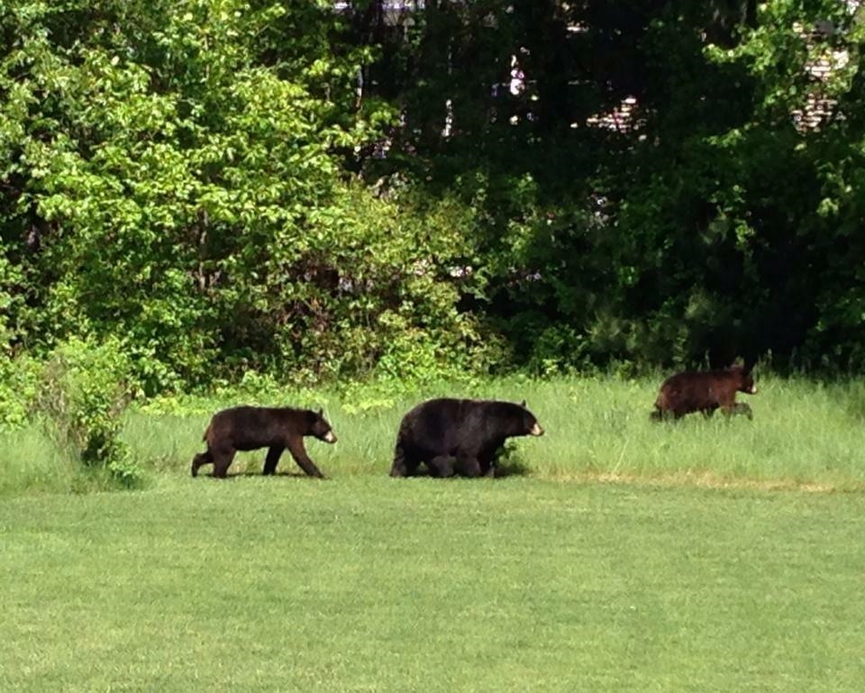 4 Wasserman Hts, Merrimack, NH 03054