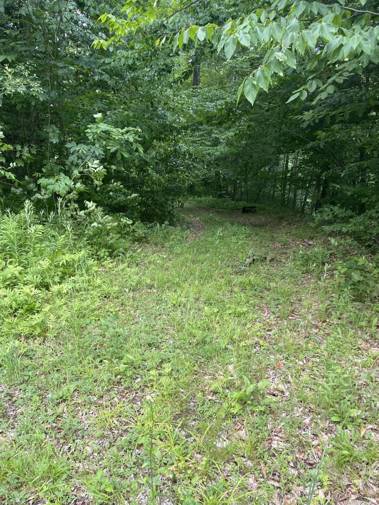 Benton Rd, Haverhill, NH 03774