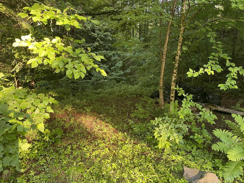 Benton Rd, Haverhill, NH 03774