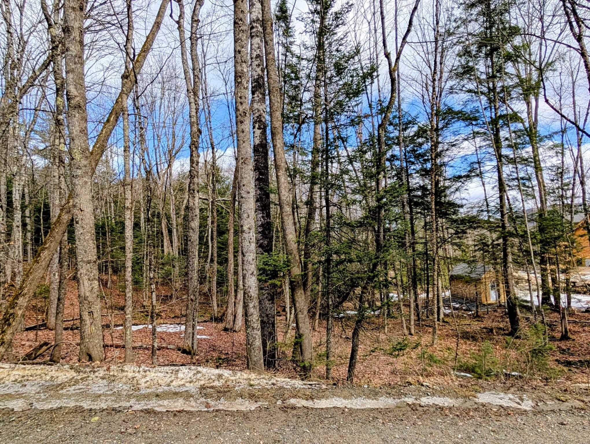 Lot 258 Kearsarge Dr, Haverhill, NH 03785