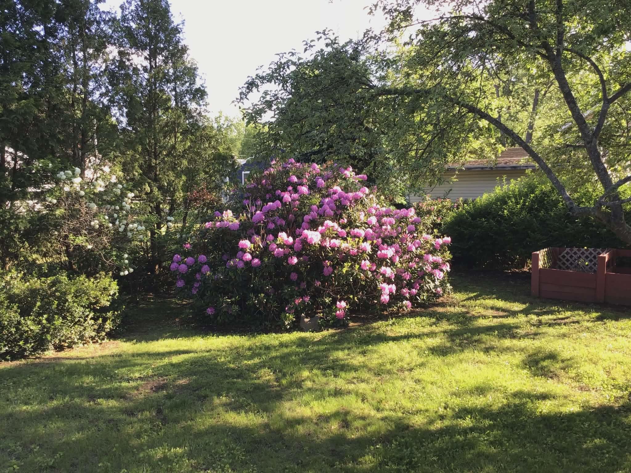 33 Joffre St, Concord, NH 03301