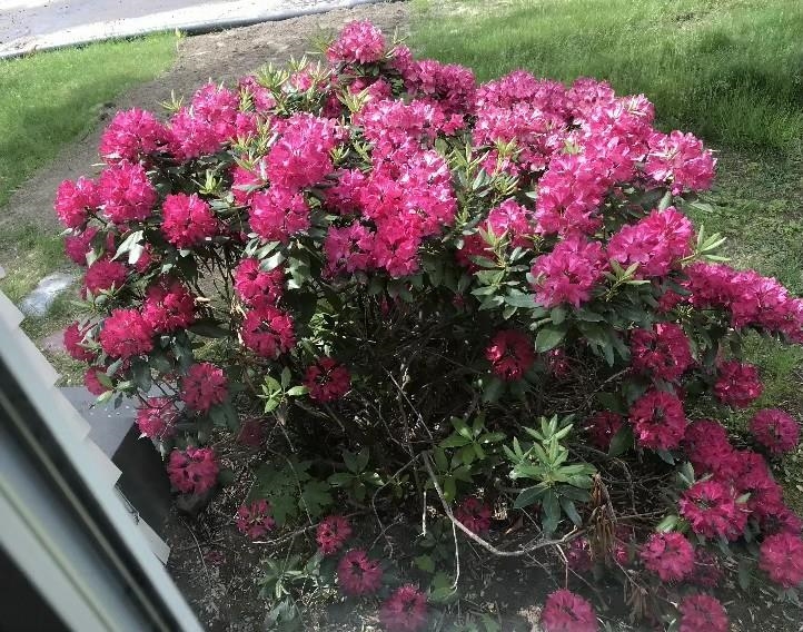 33 Joffre St, Concord, NH 03301