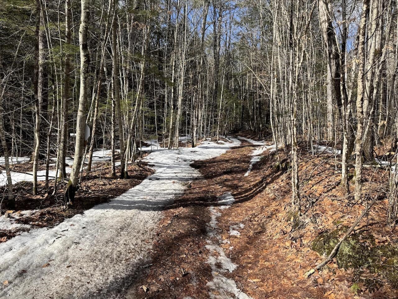 109 Butterfield Hill Rd, Westmoreland, NH 03467