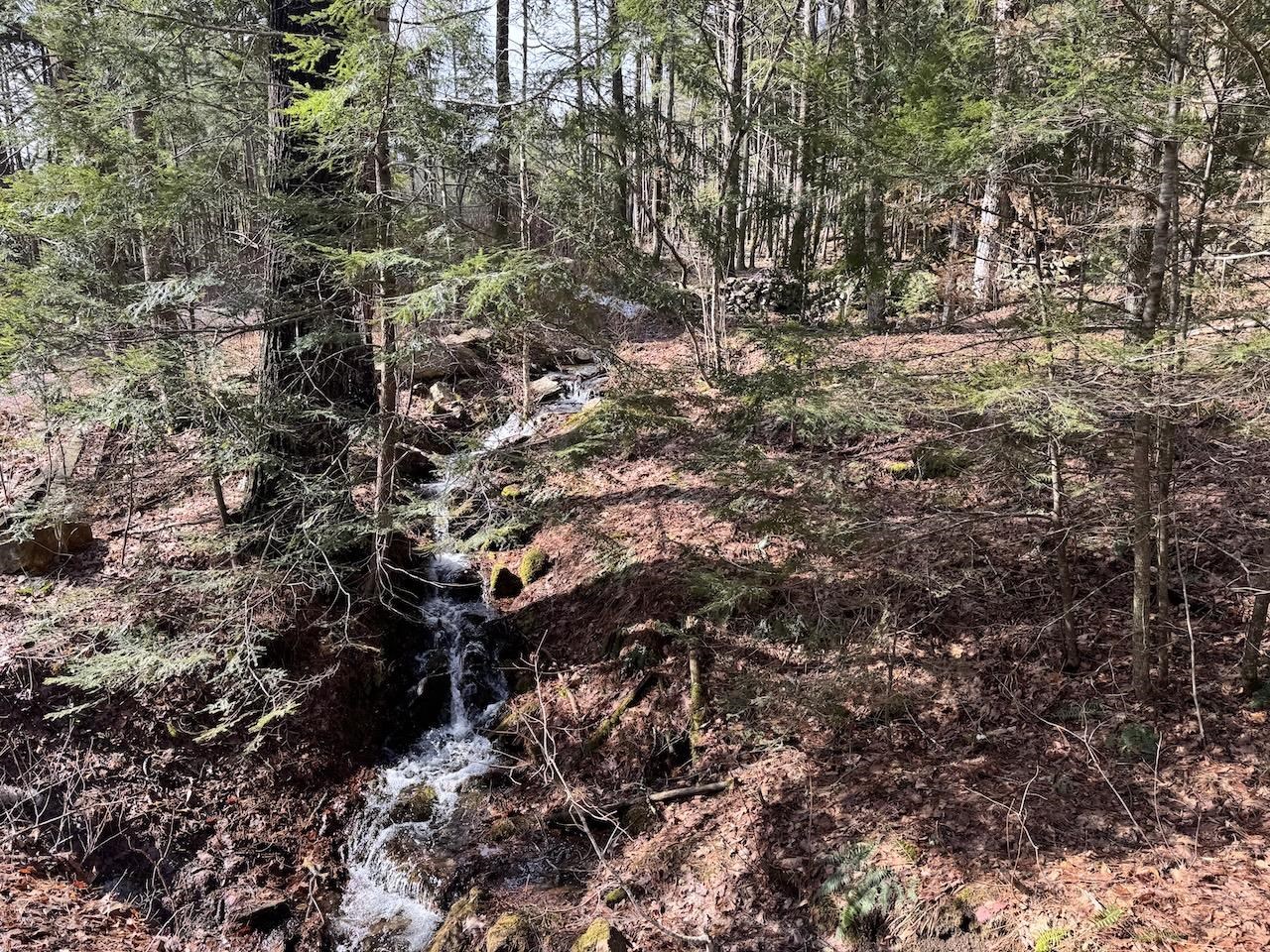 109 Butterfield Hill Rd, Westmoreland, NH 03467