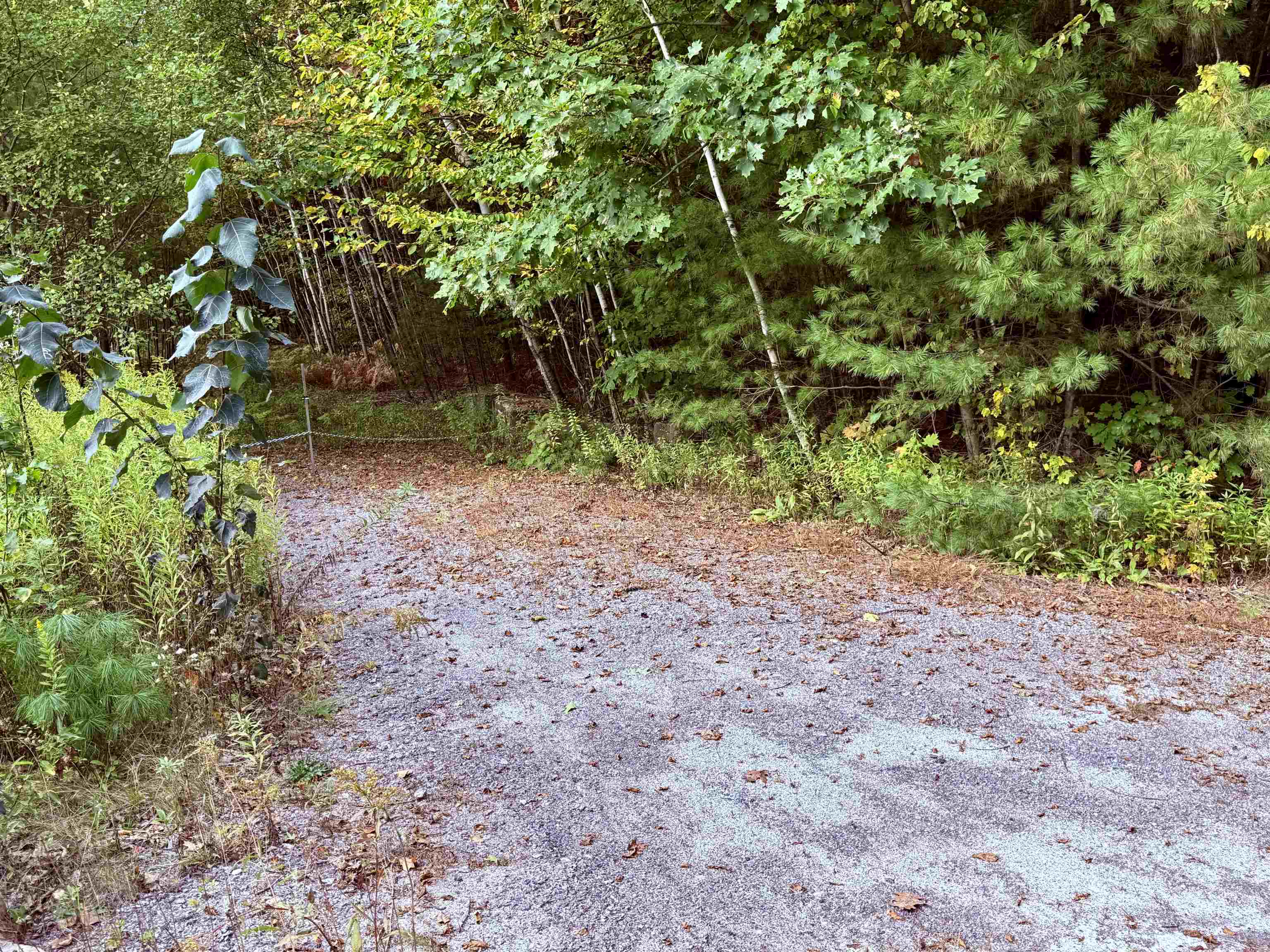 85 Pike Hill Rd, Newport, NH 03773