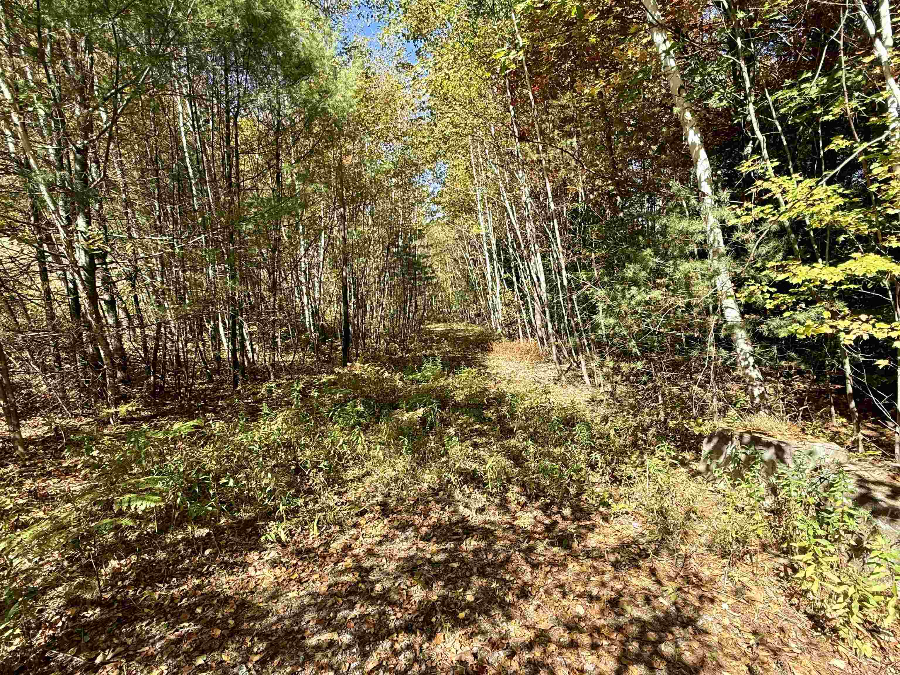 85 Pike Hill Rd, Newport, NH 03773