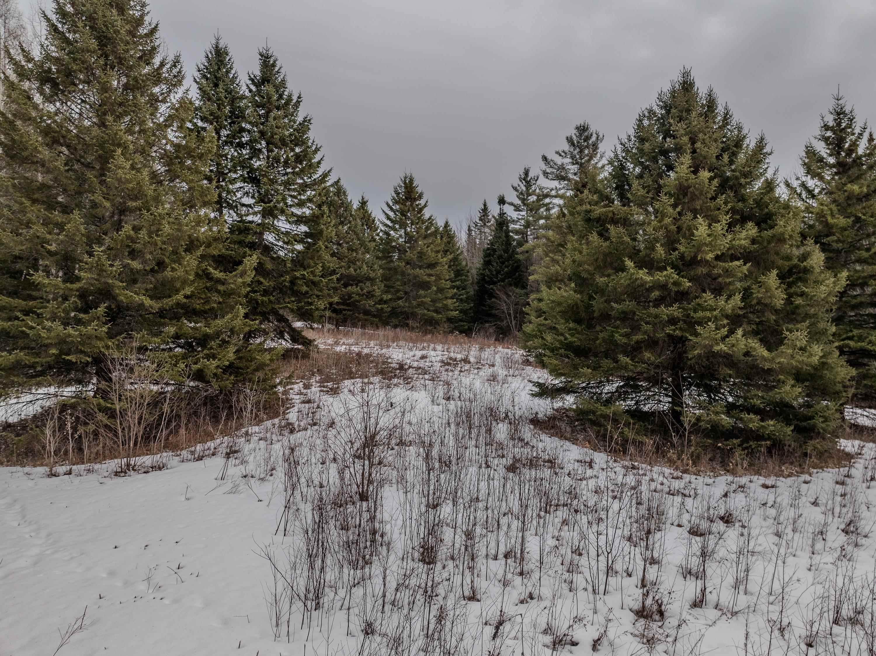 0 Jefferson Rd, Whitefield, NH 03598