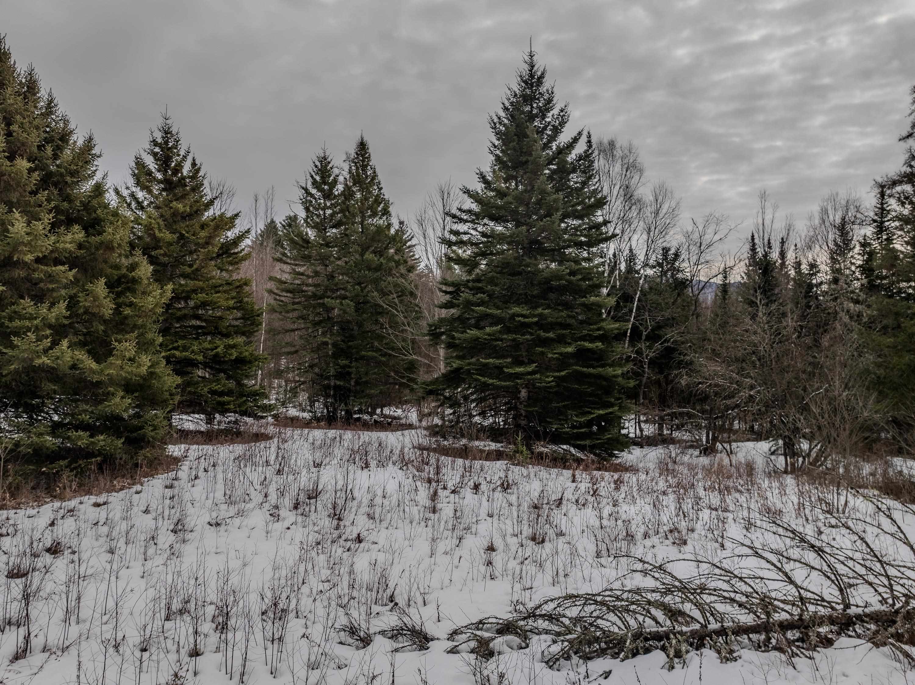 0 Jefferson Rd, Whitefield, NH 03598