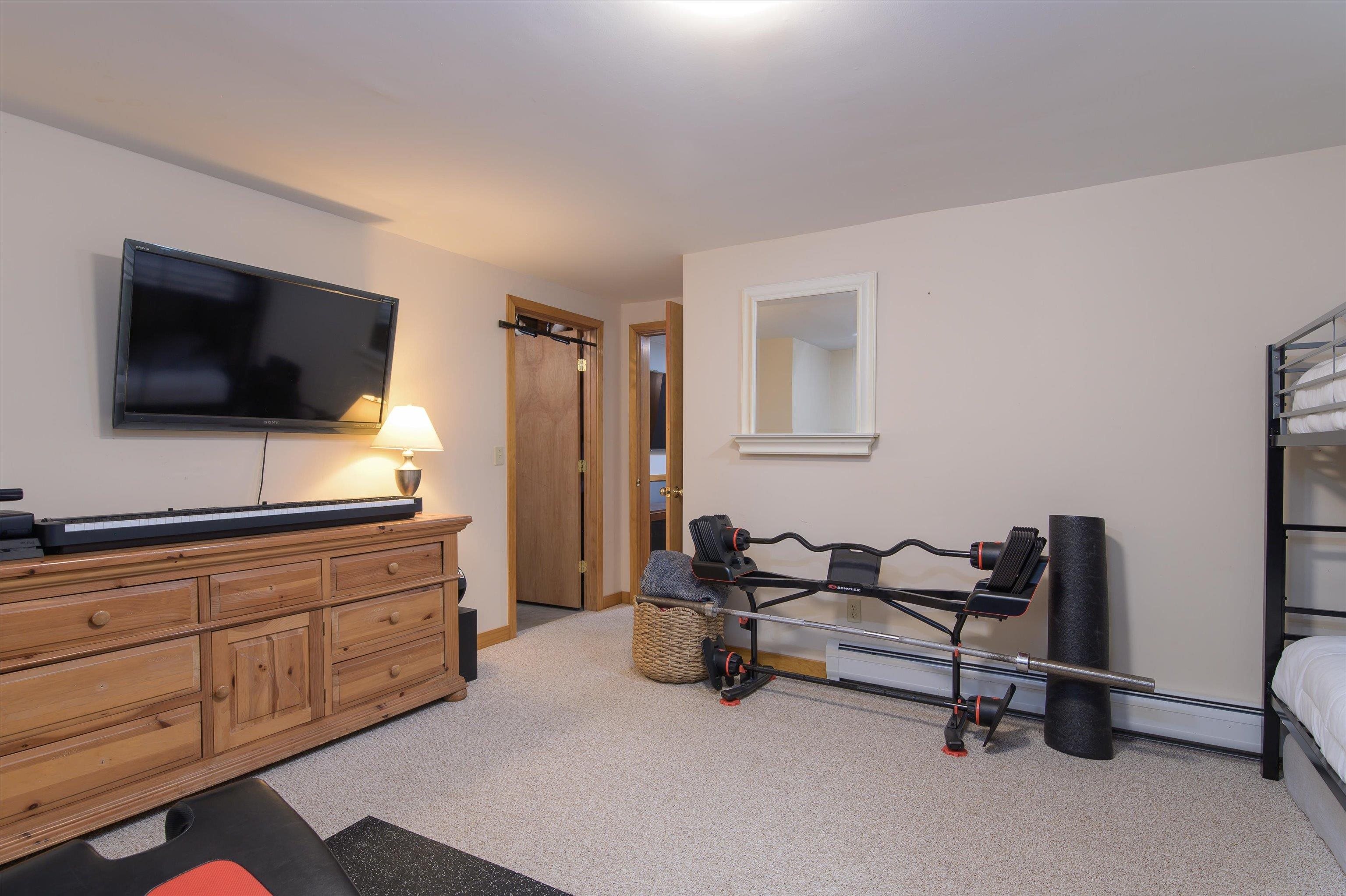 Bonus Room-Lower Level