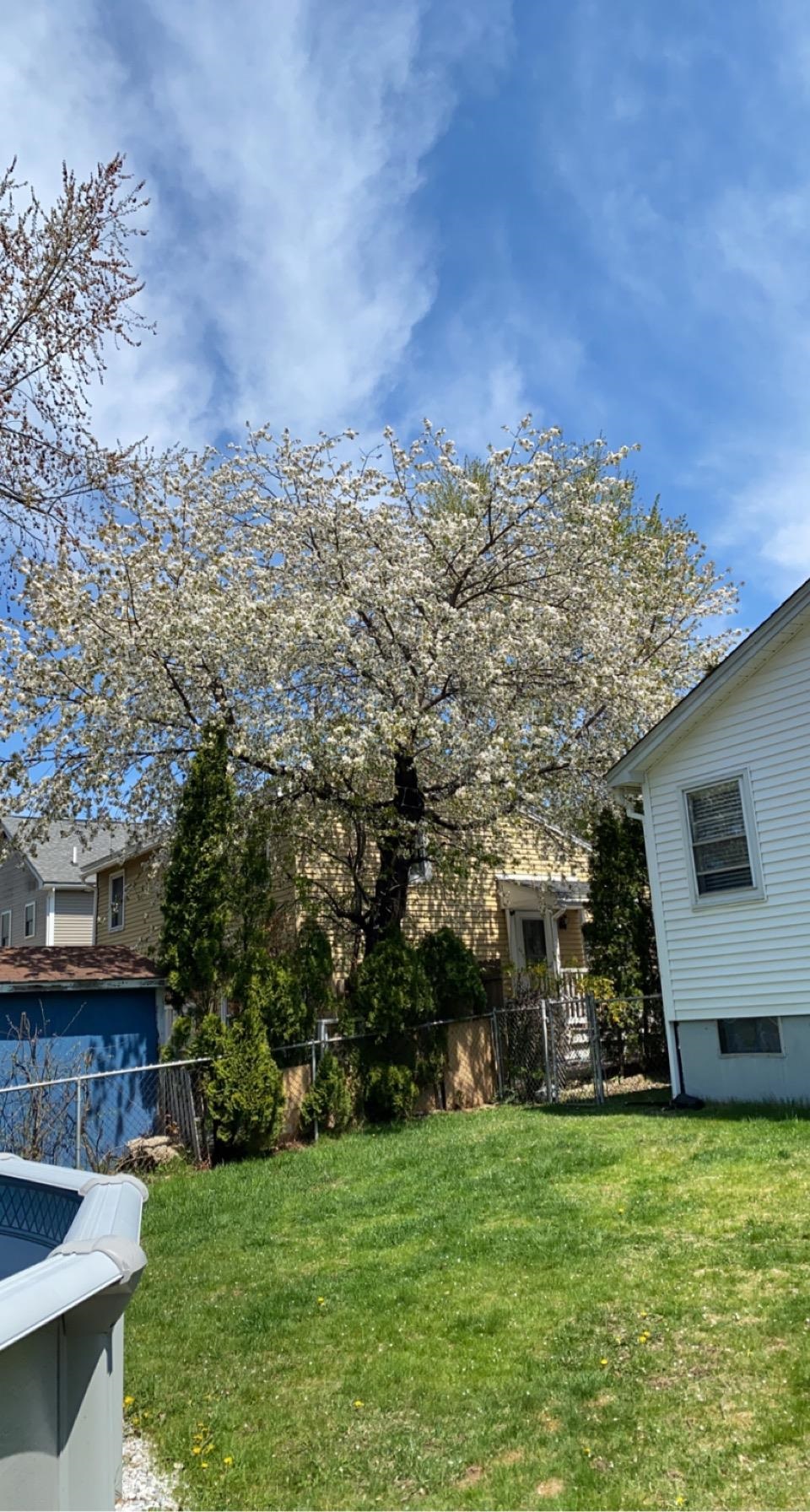 602 Brown Ave, Manchester, NH 03103