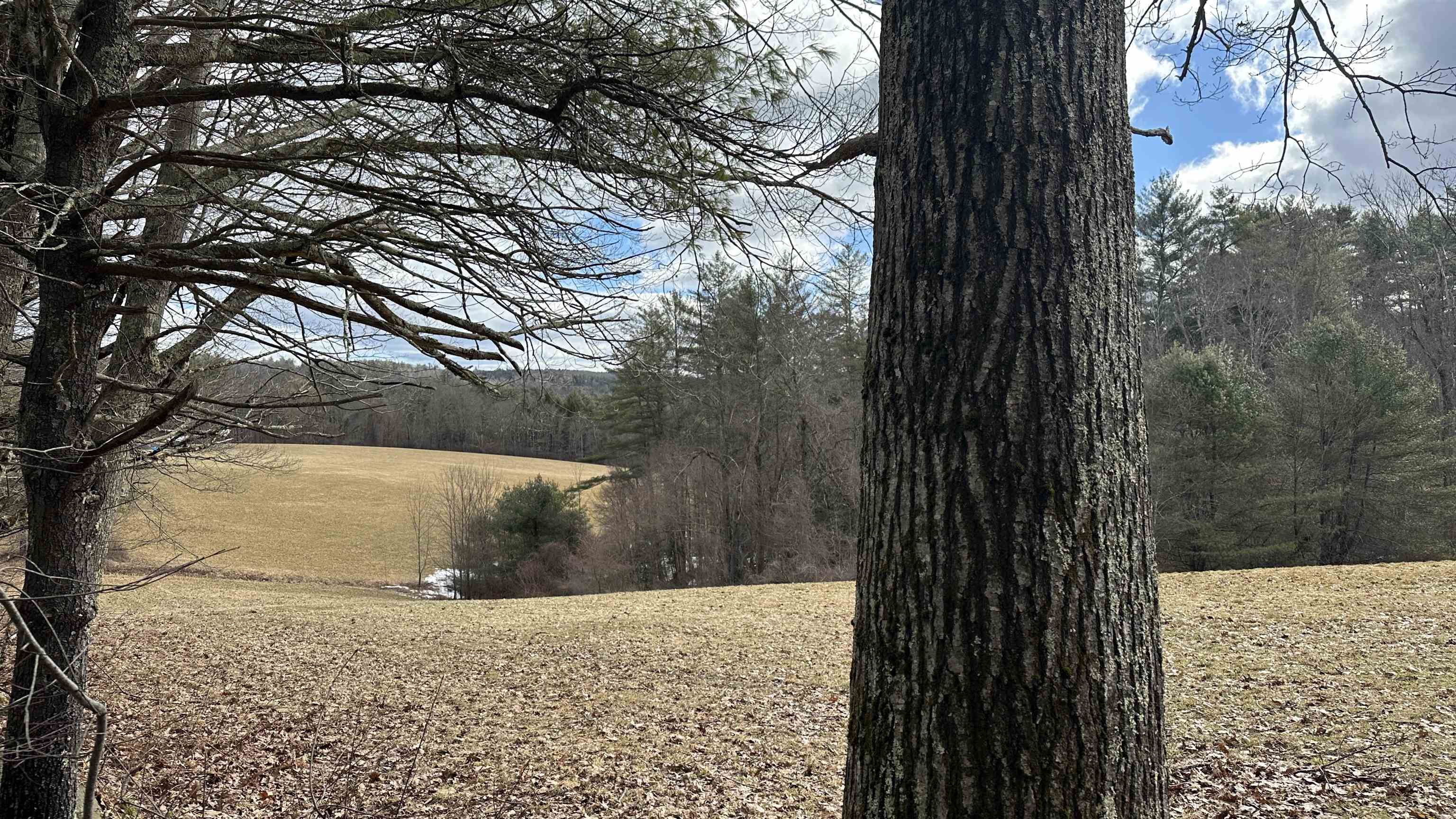 386 Old Chesham Rd, Marlborough, NH 03455