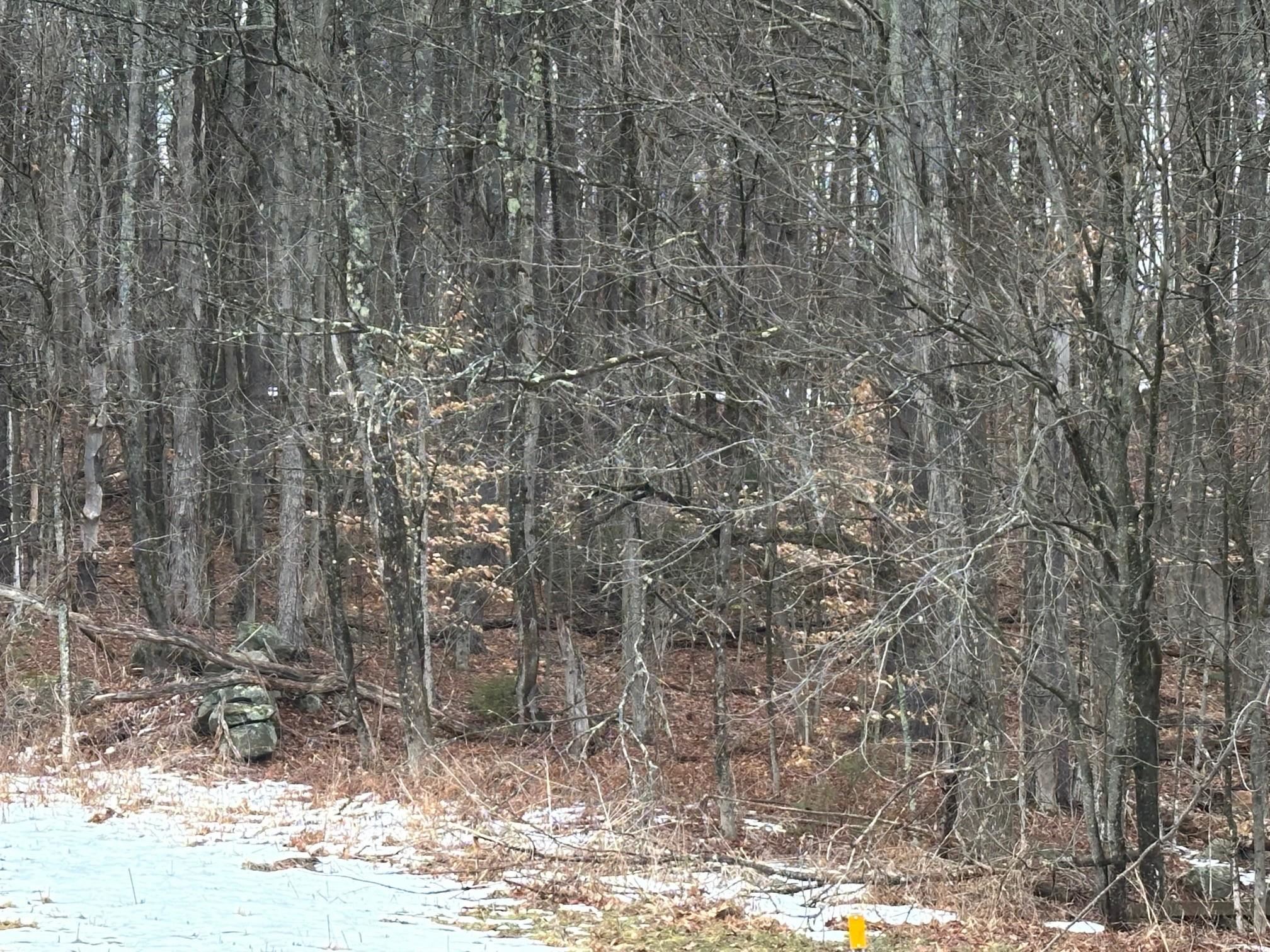 0 New Hampshire Route 119, Rindge, NH 03461