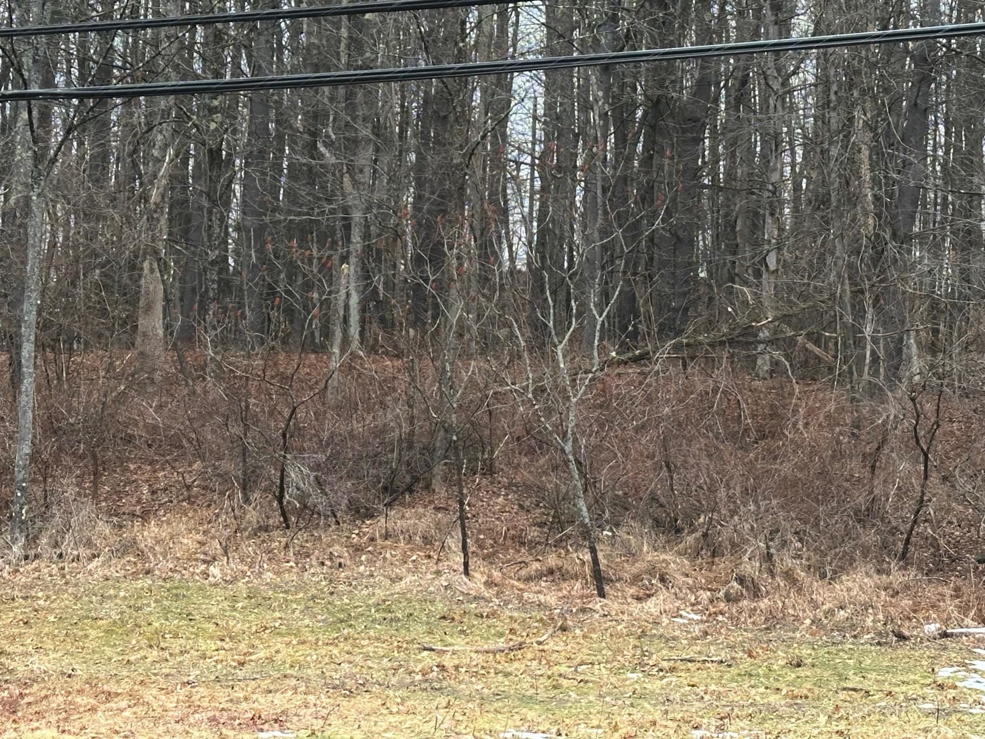 0 New Hampshire Route 119, Rindge, NH 03461