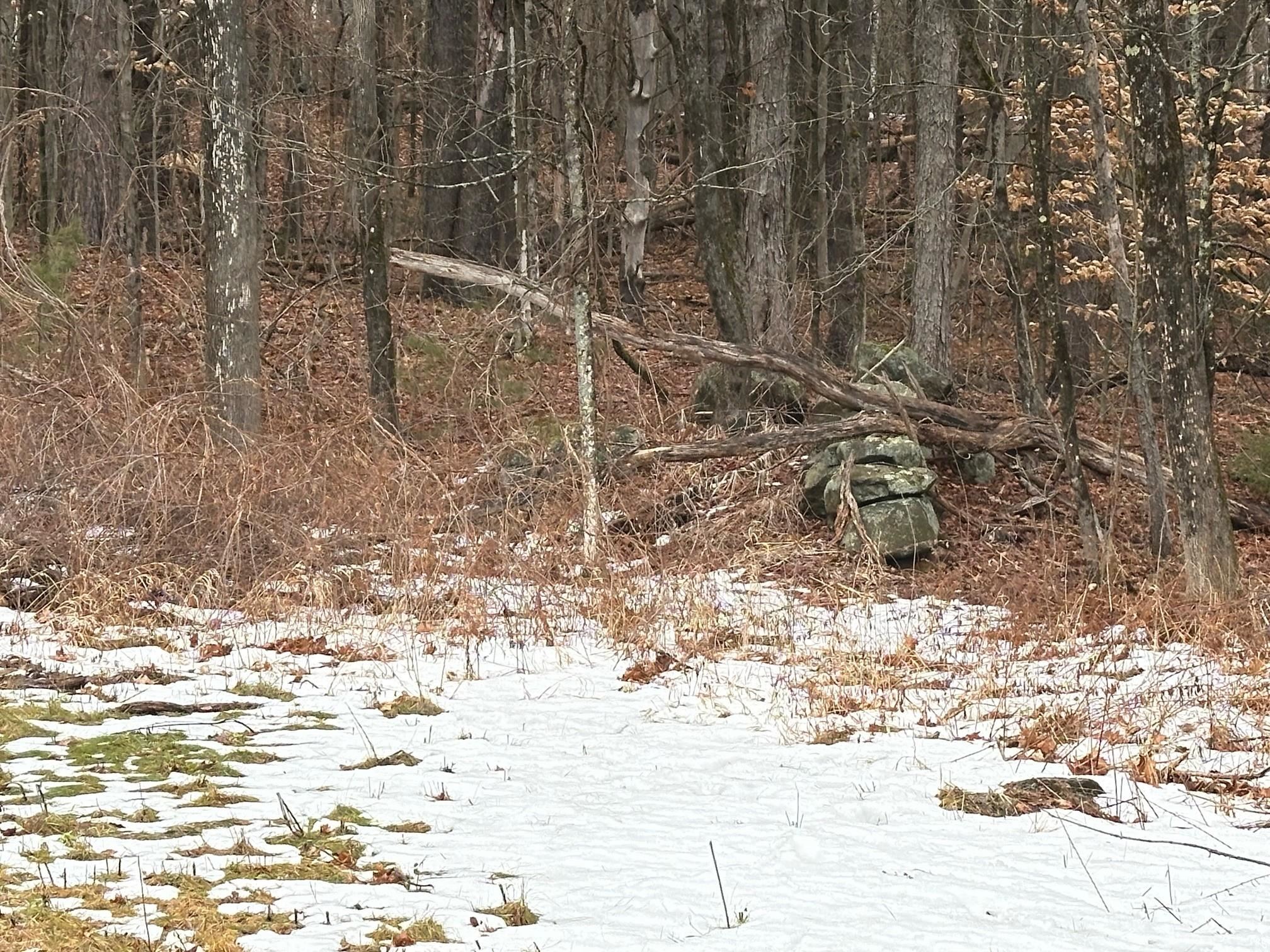 0 New Hampshire Route 119, Rindge, NH 03461