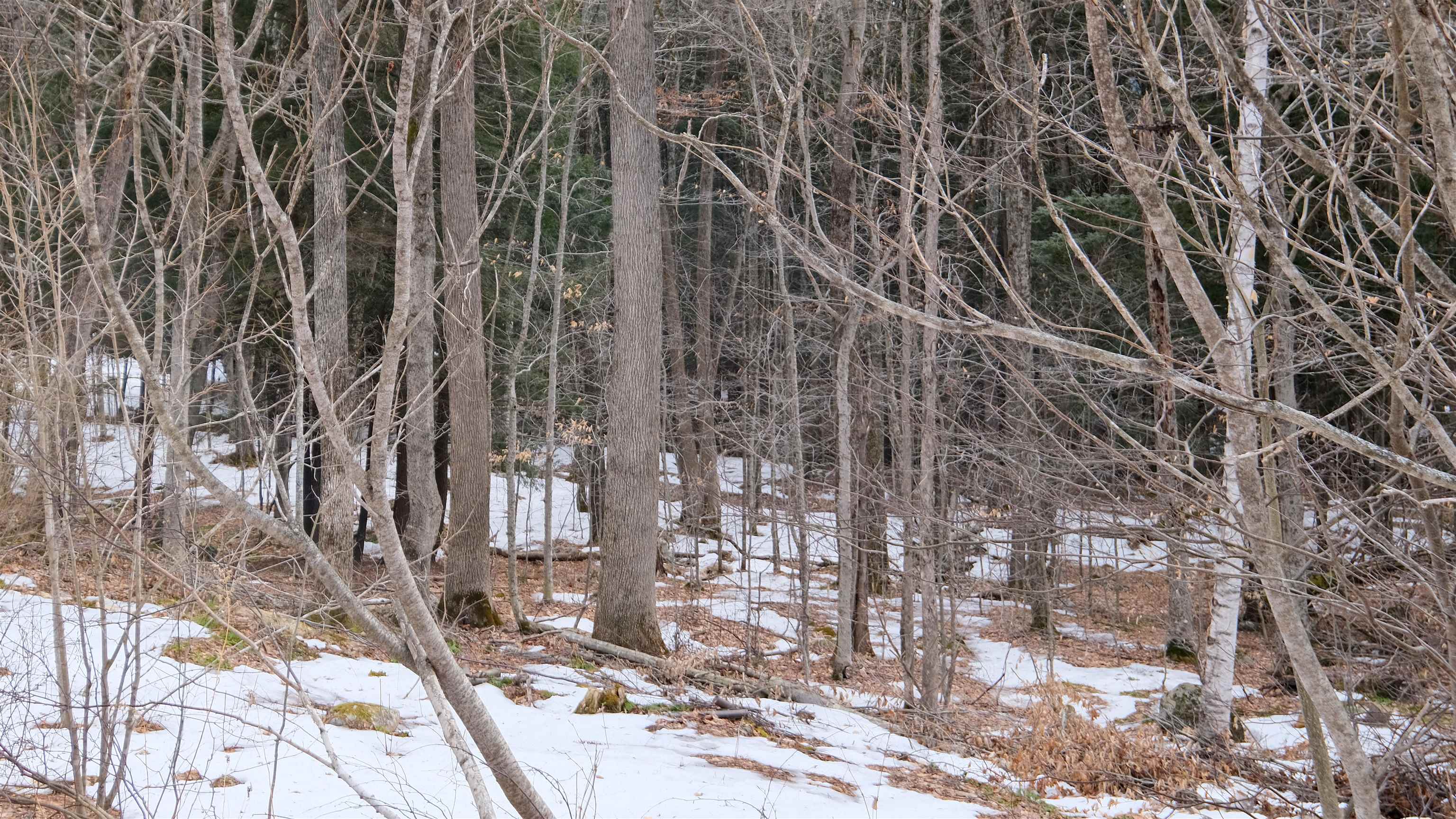 Homes for sale in Plymouth, VT | 0 Kestrell Dr, Plymouth, VT 05056 | MLS# 5079994