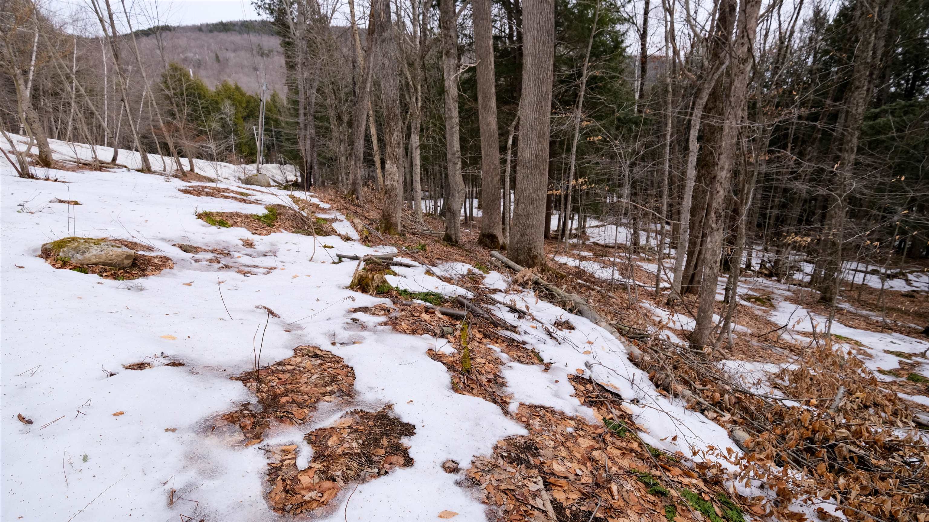 Homes for sale in Plymouth, VT | 0 Kestrell Dr, Plymouth, VT 05056 | MLS# 5079994