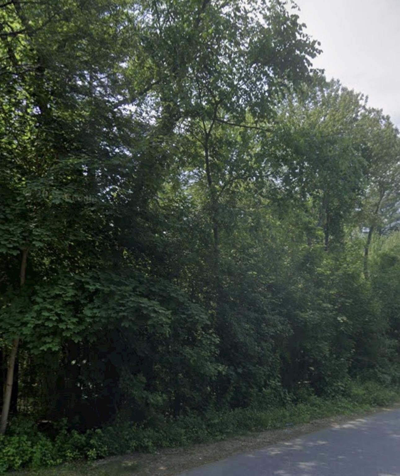 17 Tyler Rd, Derry, NH 03038