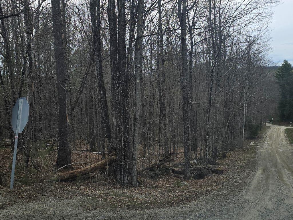 0 Copeland Rd, Unity, NH 03603