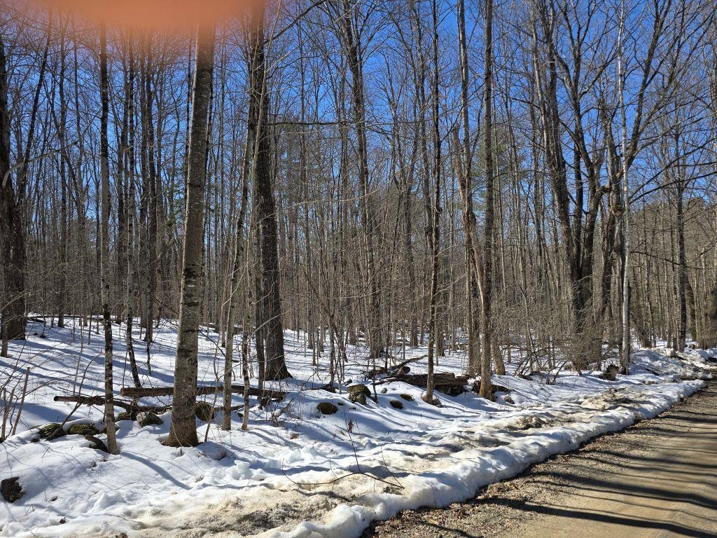 0 Copeland Rd, Unity, NH 03603