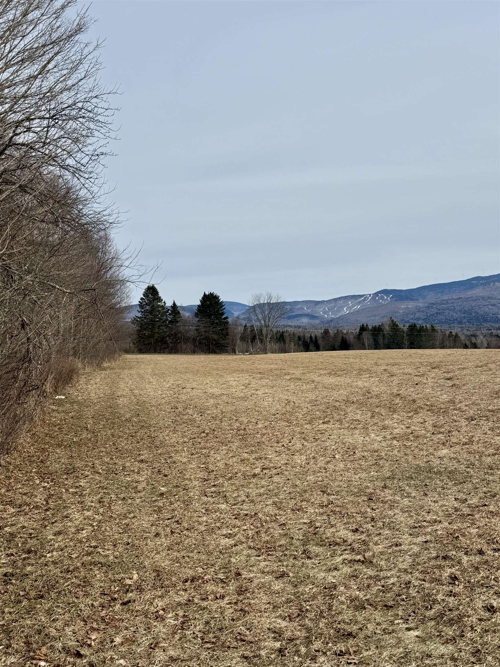 85 Forbes Hill Rd, Colebrook, NH 03576