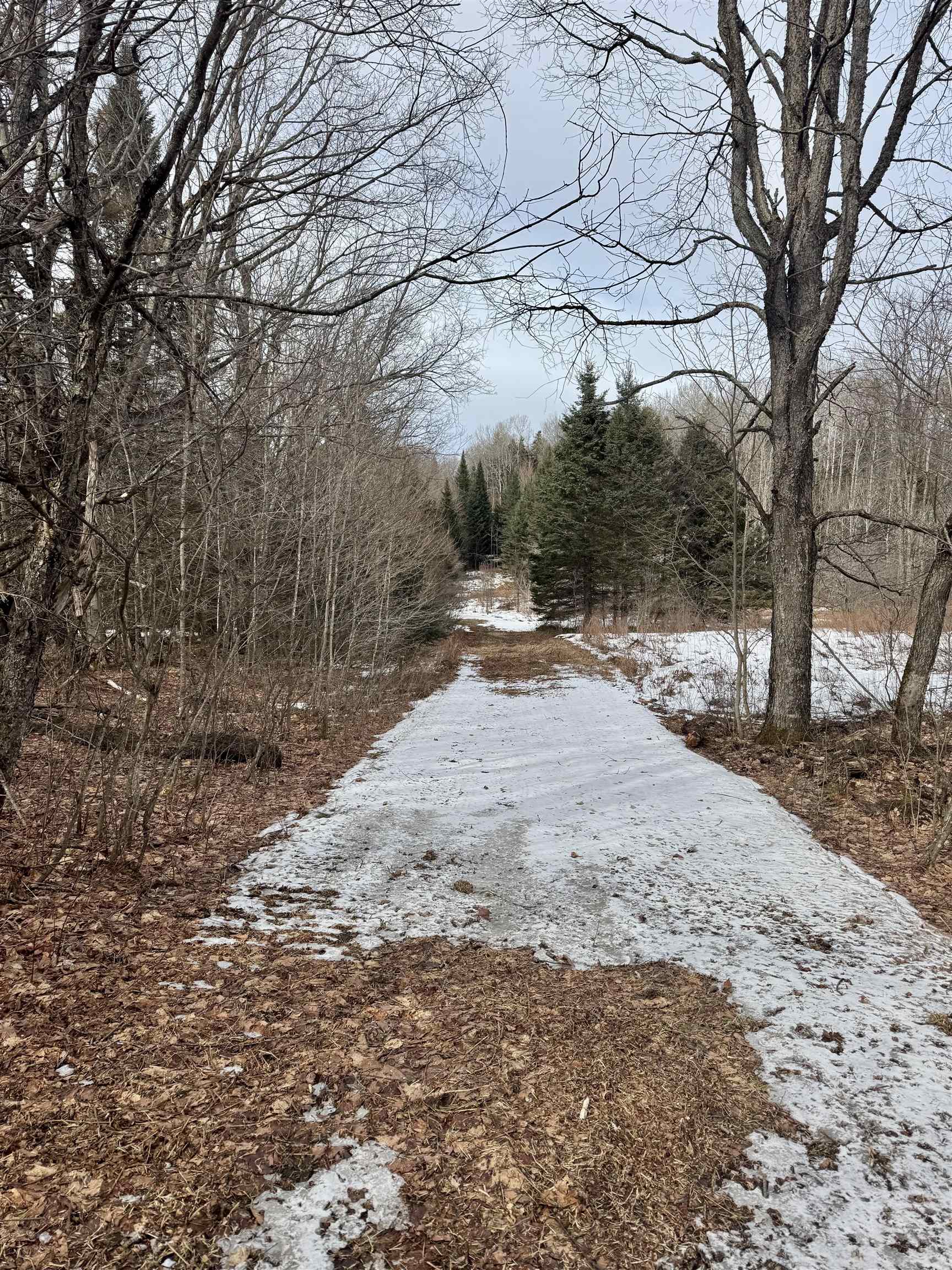 85 Forbes Hill Rd, Colebrook, NH 03576