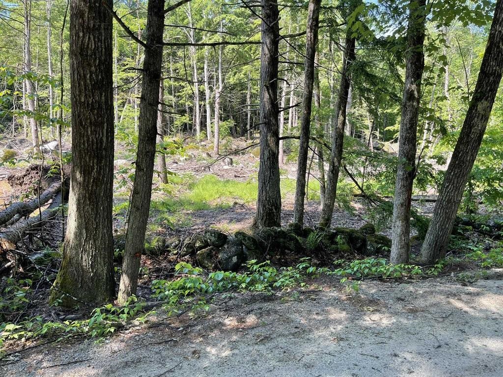 00 Beard Rd, Hillsborough, NH 03244