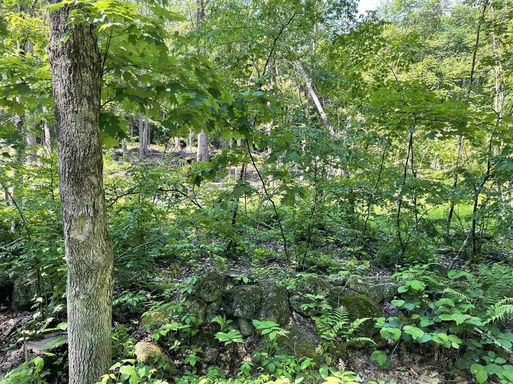 00 Beard Rd, Hillsborough, NH 03244