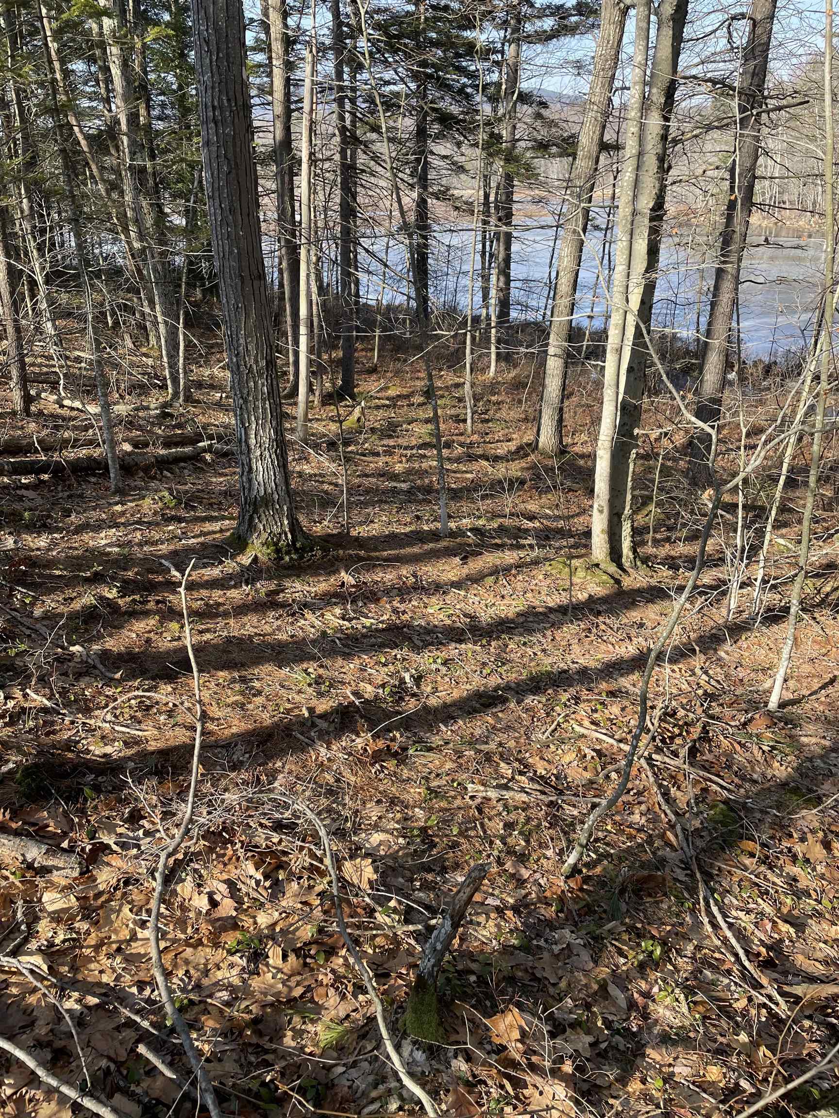 Windmill Hill Rd, Dublin, NH 03444