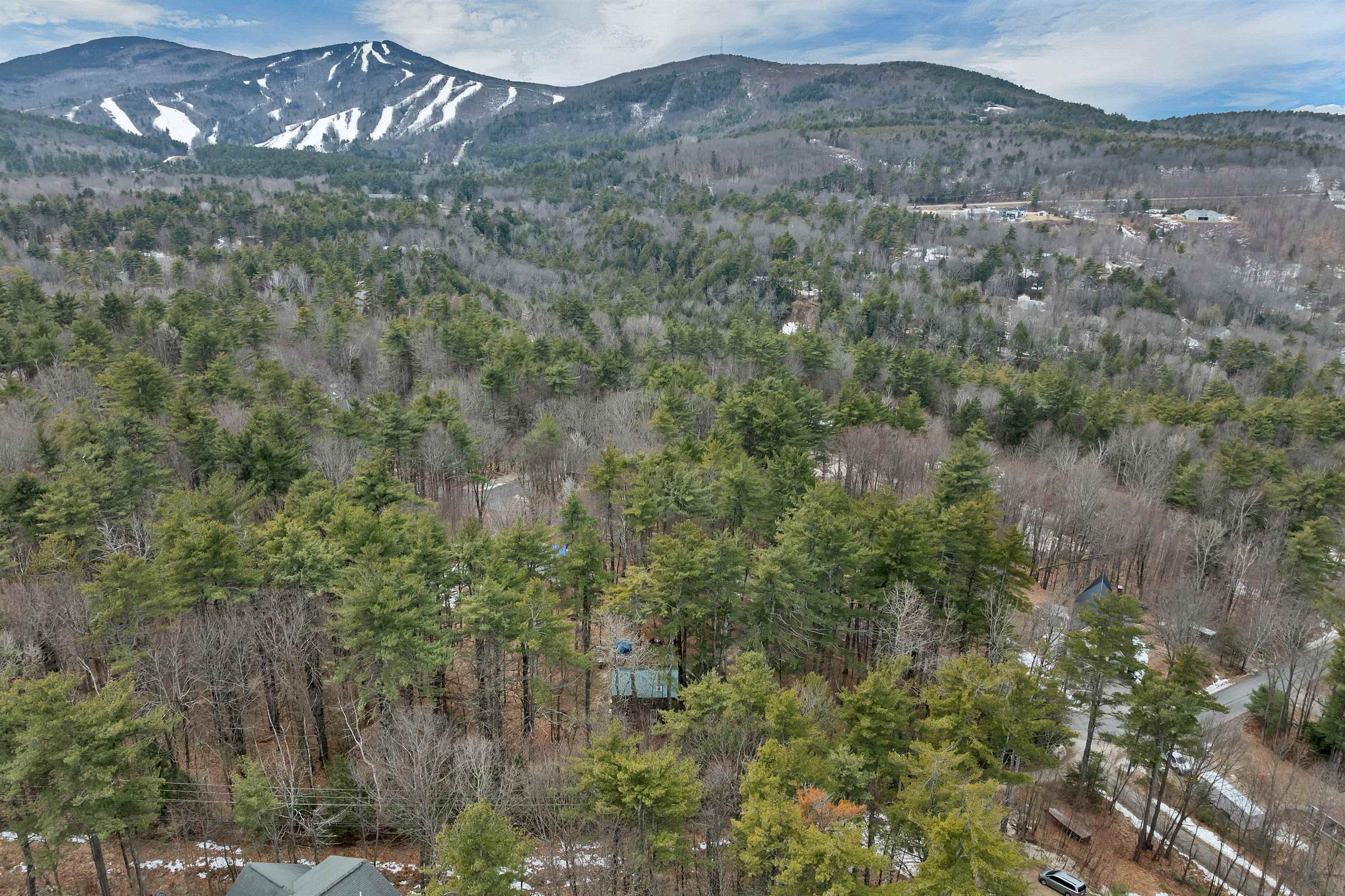 24 Buckboard Dr, Gilford, NH 03249